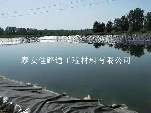 告別魚塘漏水塌方：水產養殖防滲膜基面平整度